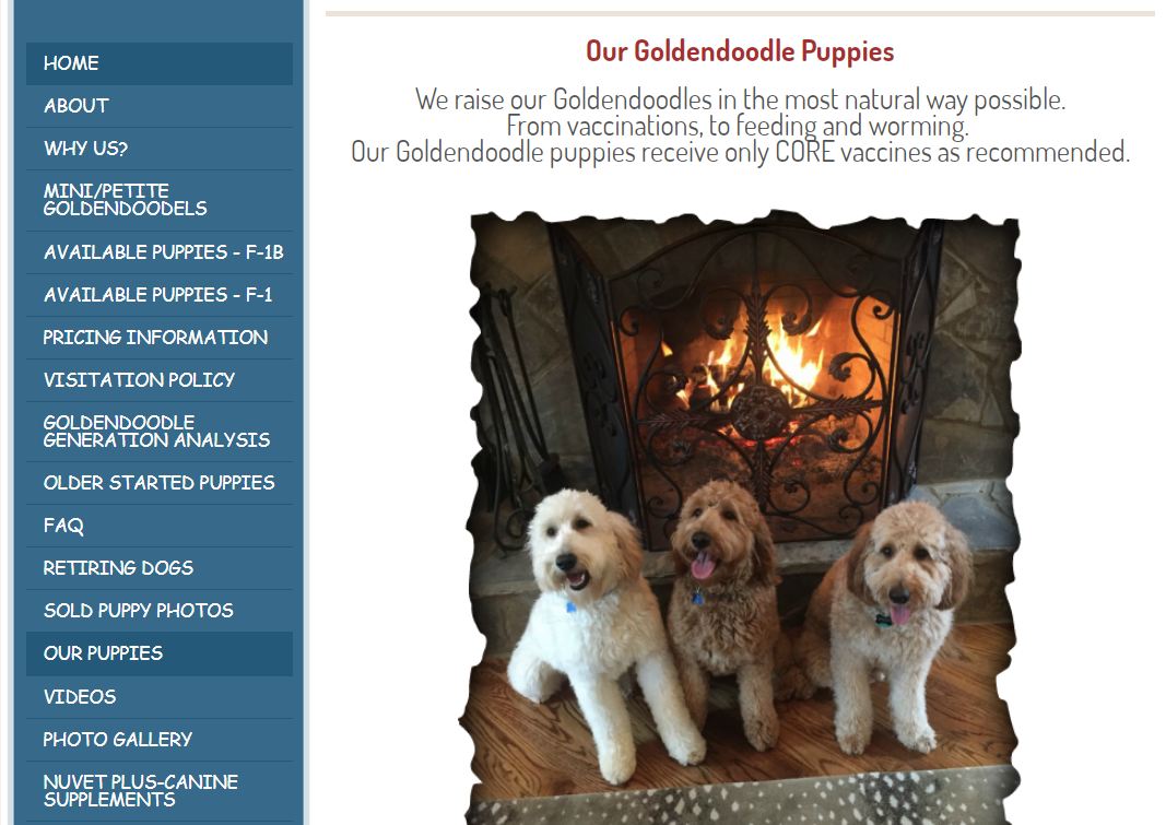 Goldendoodle holistic breeder Tennessee