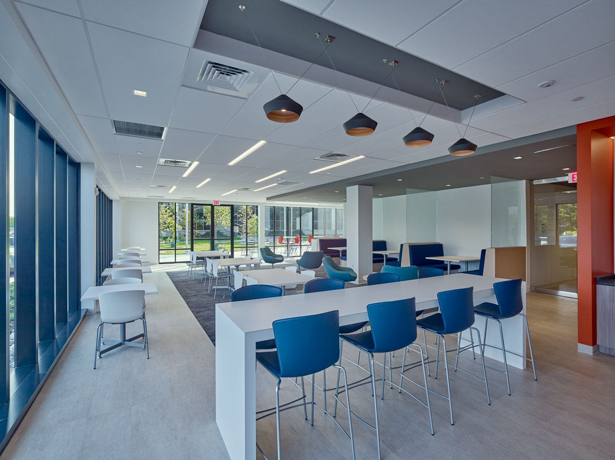 Reasons To Hire Professionals Interior Renovations and Construction Services Save Your Money? 