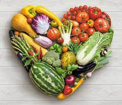 European Plant Protein Market Analysis, Insights, Trends, Key Players, Drivers and Forecast