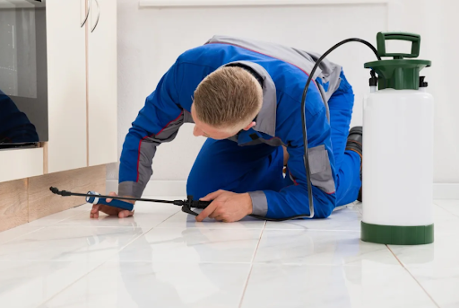 Important Do’s and Don’ts to follow for a Bees and Wasp Pest Control Bradford 