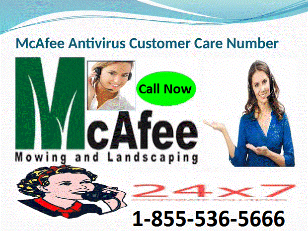 18555365666 McAfee Antivirus Helpline Number
