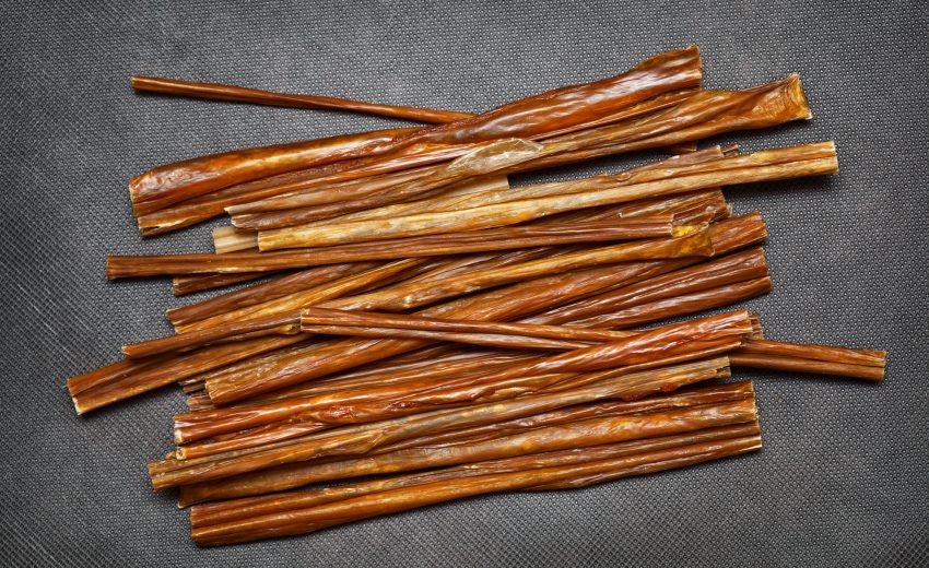 How to Choose the Best Bully Stick for Your Dog