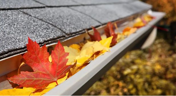 Why It Is Important To Choose A Reputable Cleaning Service Provider In Denver