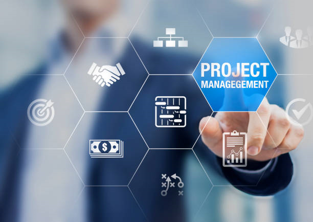 The Evolving Needs of Project Management in Industry 4.0