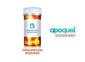 Apoquel cats and dogs Drugs