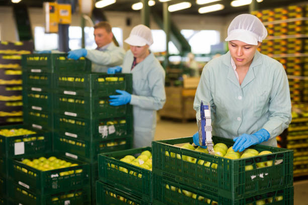 Regulatory Compliance and Food Inspection Systems: Navigating the Compliance Landscape