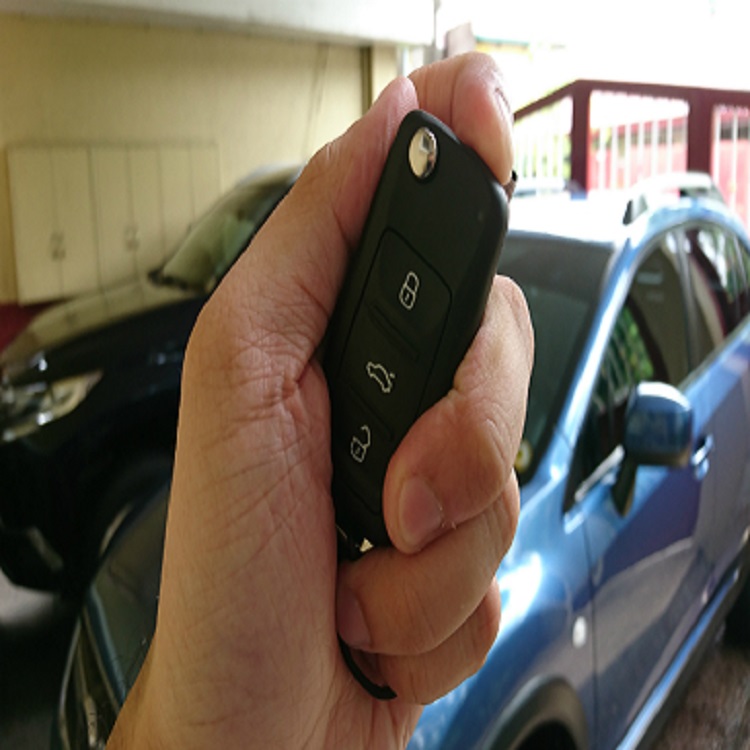 Lost Car Keys