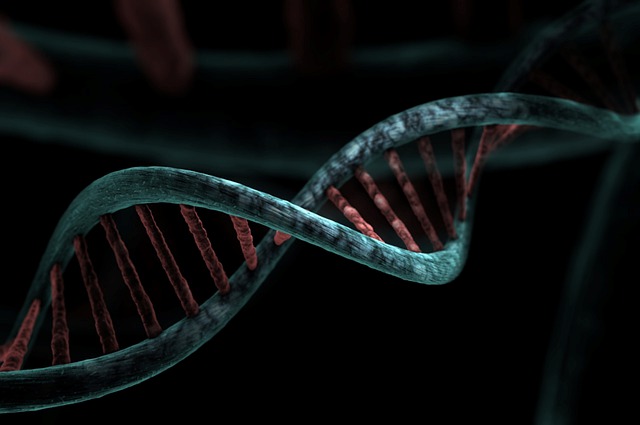 Fatos sobre o DNA que você não sabia