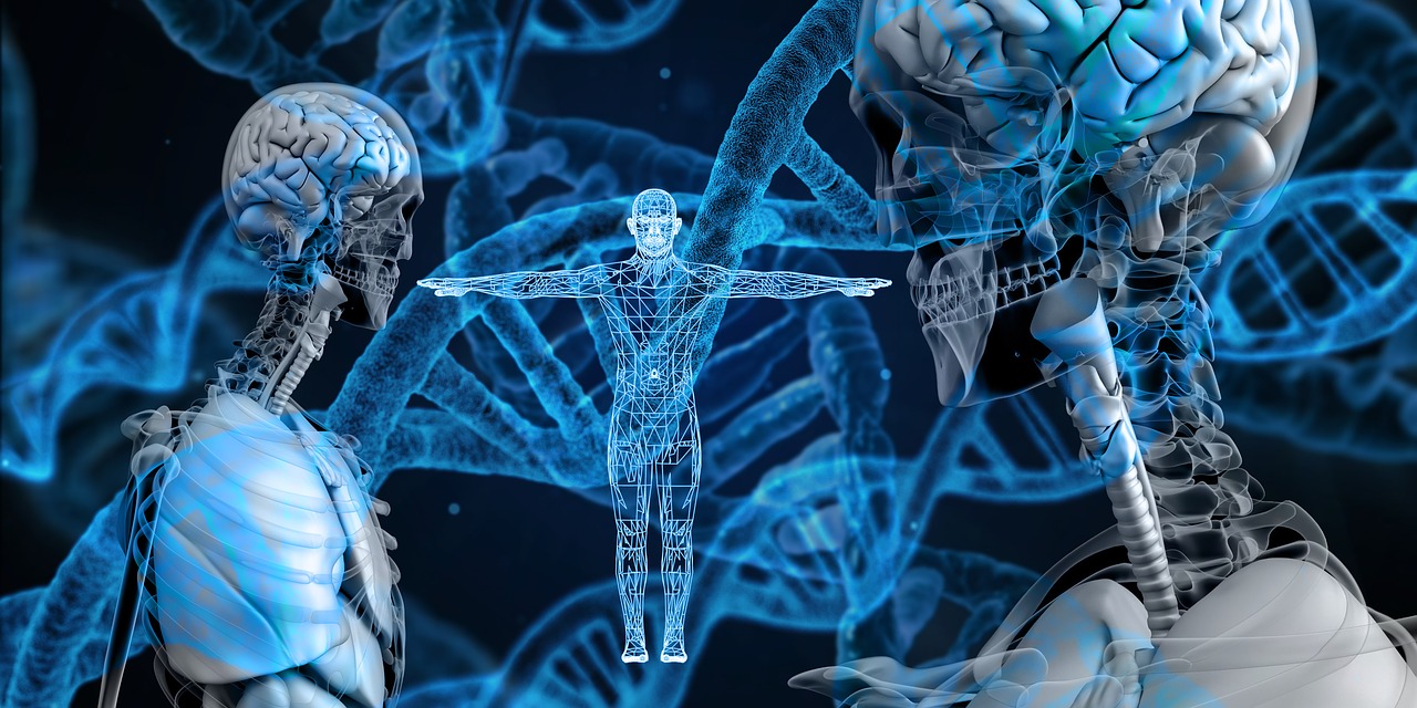 Teste de DNA: é confiável?