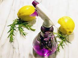 Global Natural Ingredient Insect Repellent Market Report, Latest Trends, Industry Opportunity & Forecast to 2027