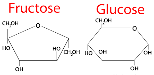 Fructose Market | Global Industry Trends, Segmentation, Business Opportunities & Forecast To 2027