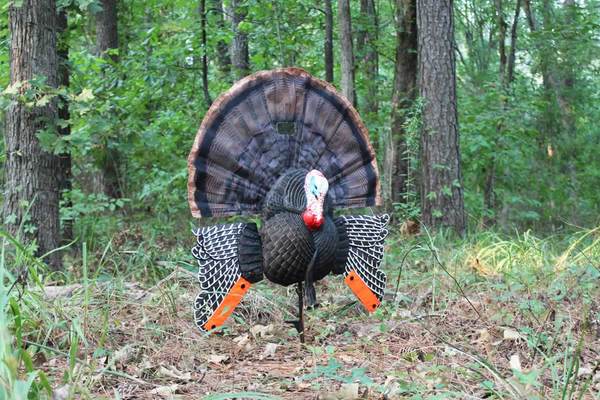 The Beginners Guide - Essential Hunting Apparel Brands Collection - Duck Candy