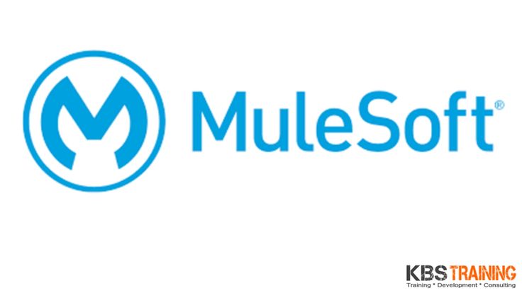 Mulesoft Training