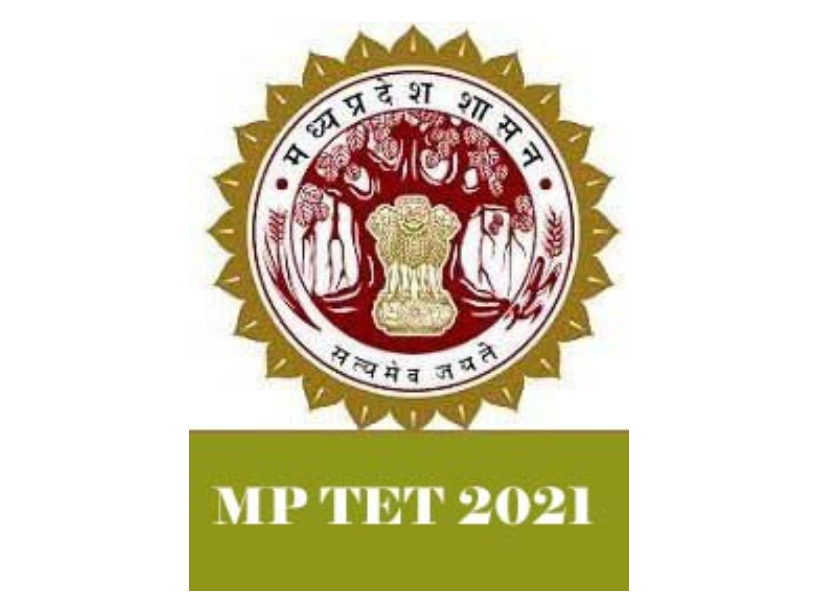 Important things to know while applying for MPTET