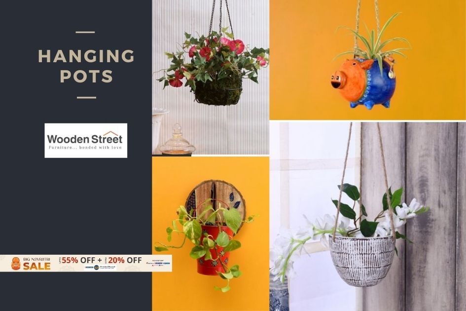 5 Hanging Pots that will Beautify Your Garden Instantly