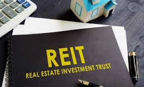 Reit investing