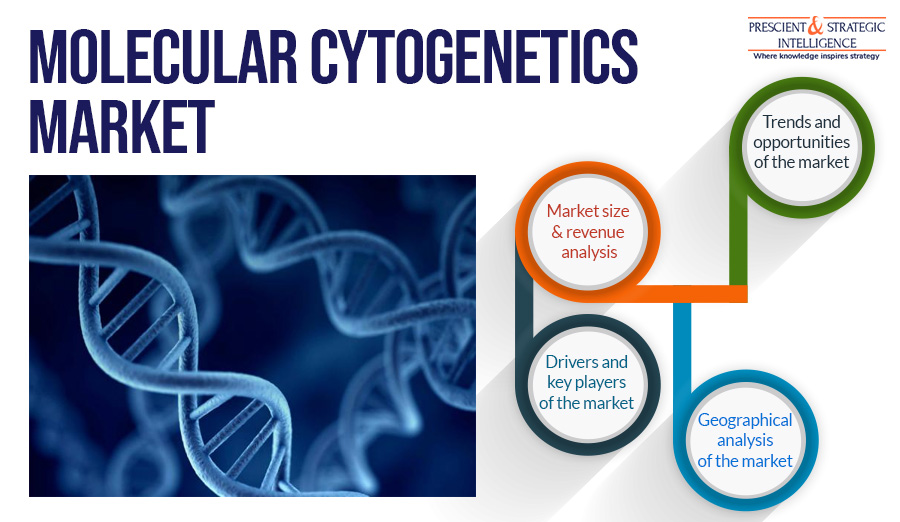 Molecular Cytogenetics Market Growth Opportunities and Competitive Landscape