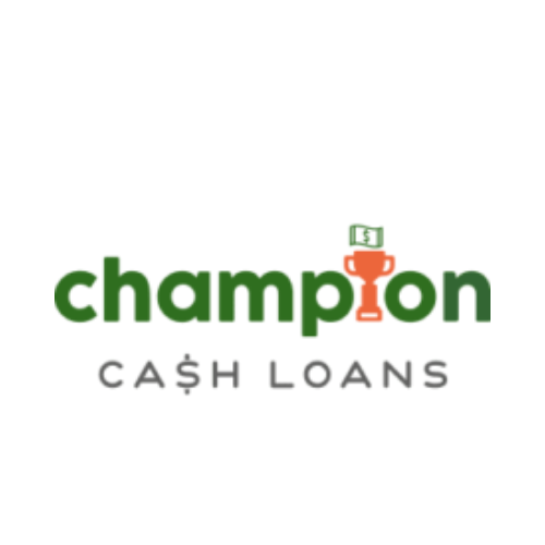 Are You in Immediate Need of Title Loans in Bloomington?