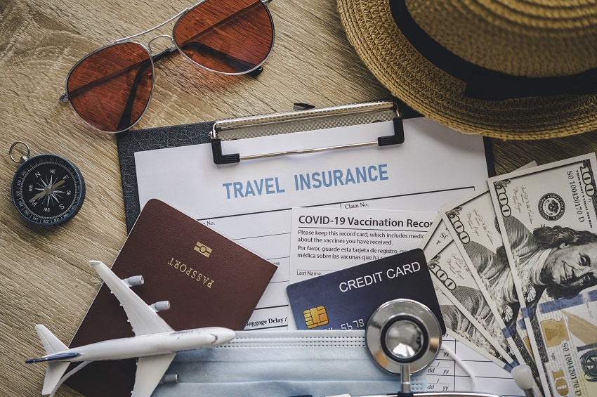India Travel Insurance Market 2029: A Detailed Report on Size, Share, and Future Growth