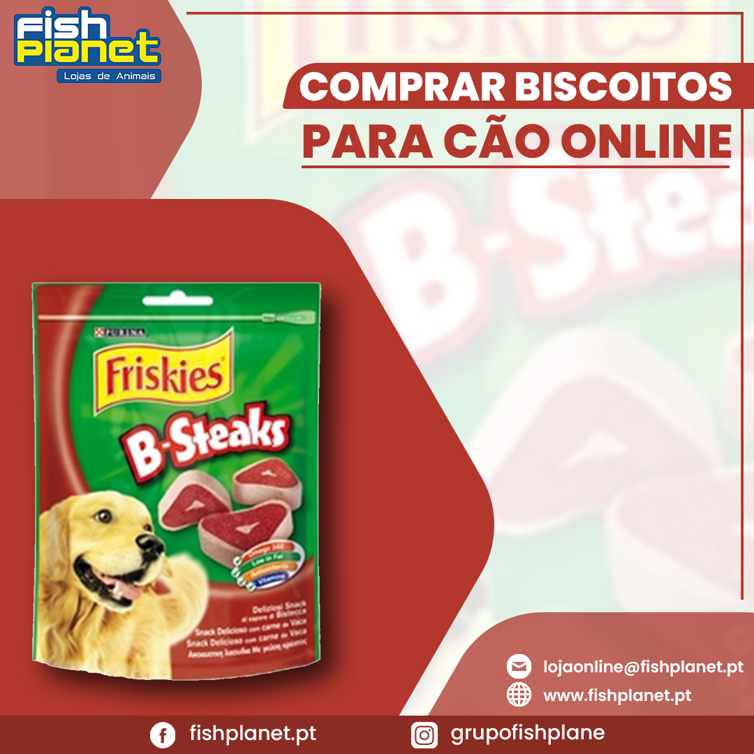 Pontos importantes a ter em mente ao comprar comida para animais de estimação