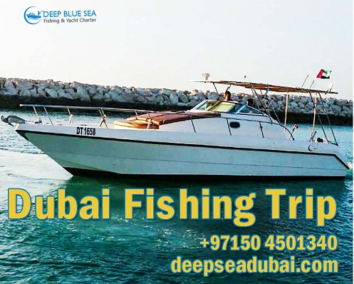 Dubai fishing