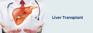 What Disqualifies You for a Liver Transplant?