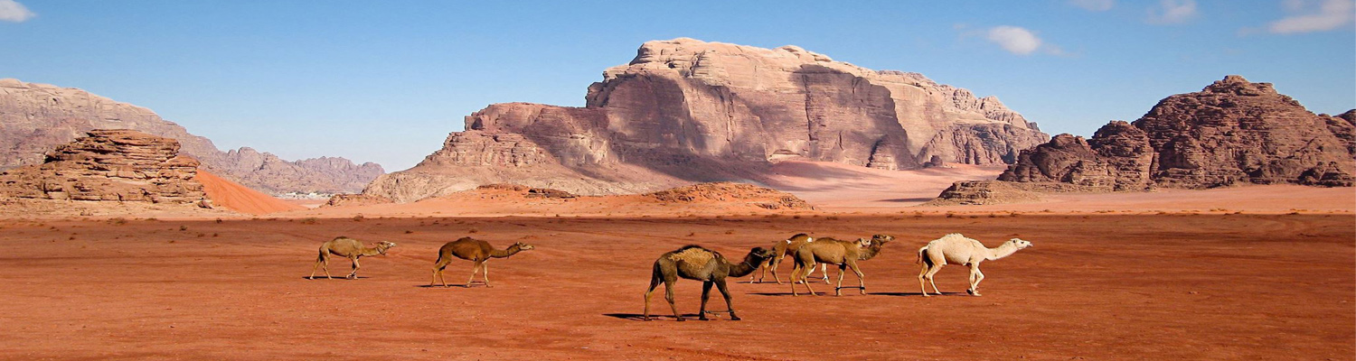 Experience the Wonders of Jordan Holidays Tours with Go Jordan Travel and Tourism