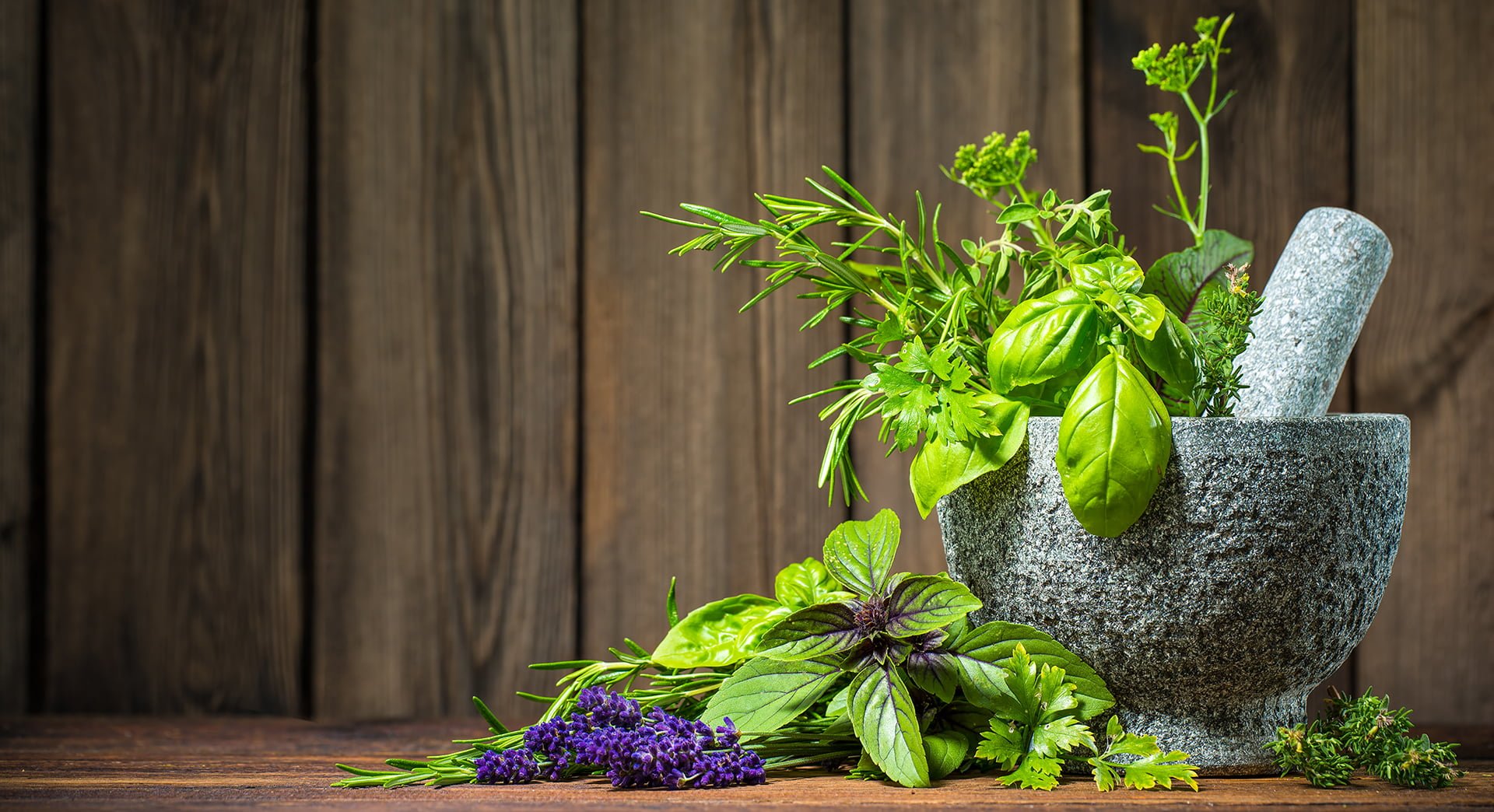 Excited For A Healthy Lifestyle? Nutralfa's Starlit Botanical Herbs Is the Answer