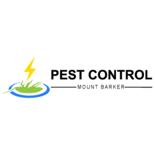 Local Pest Control in Mount Barker
