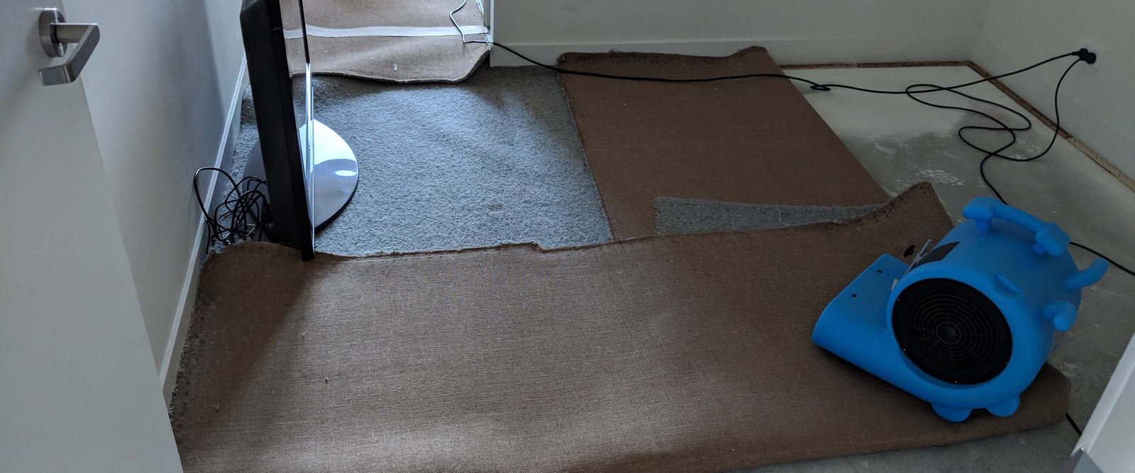 6 Step Process of Drying Wet Carpet Performed By The Experts
