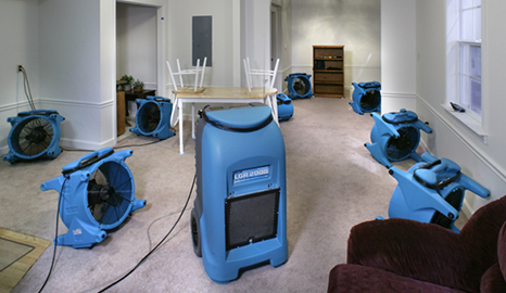 Tips To Prevent The Mould Under Flood Damage Carpet Melbourne