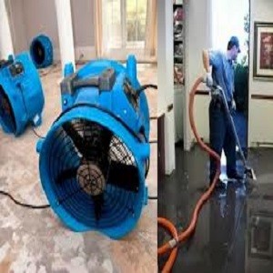 Reasons To Hire A Professional Company For Water Flooded Carpet
