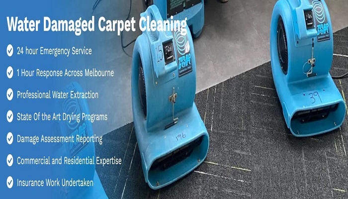 A Professional Emergency Carpet Drying Or Rehabilitation Strategy