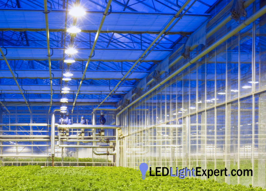 4 top advantages of buying led lights for your lighting solutions!