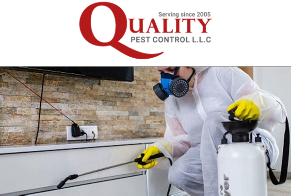Best Pest Control Services in Abu Dhabi