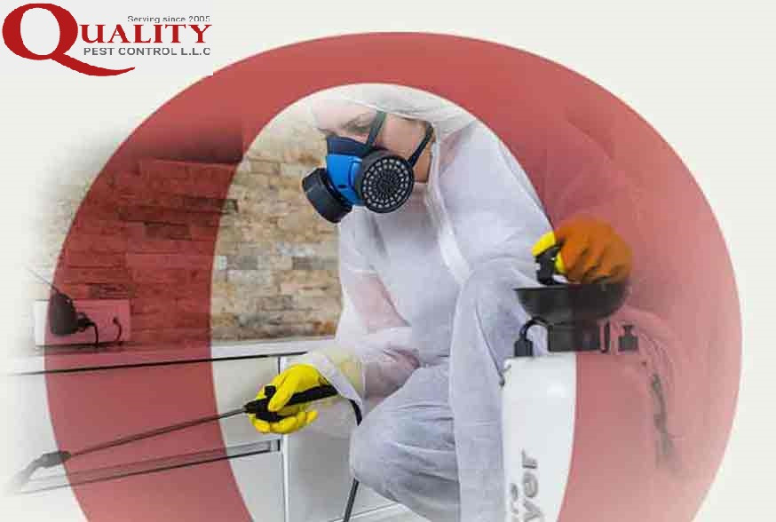 Best pest control in Dubai