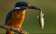 Choose The Best Sri Lanka Holiday Packages