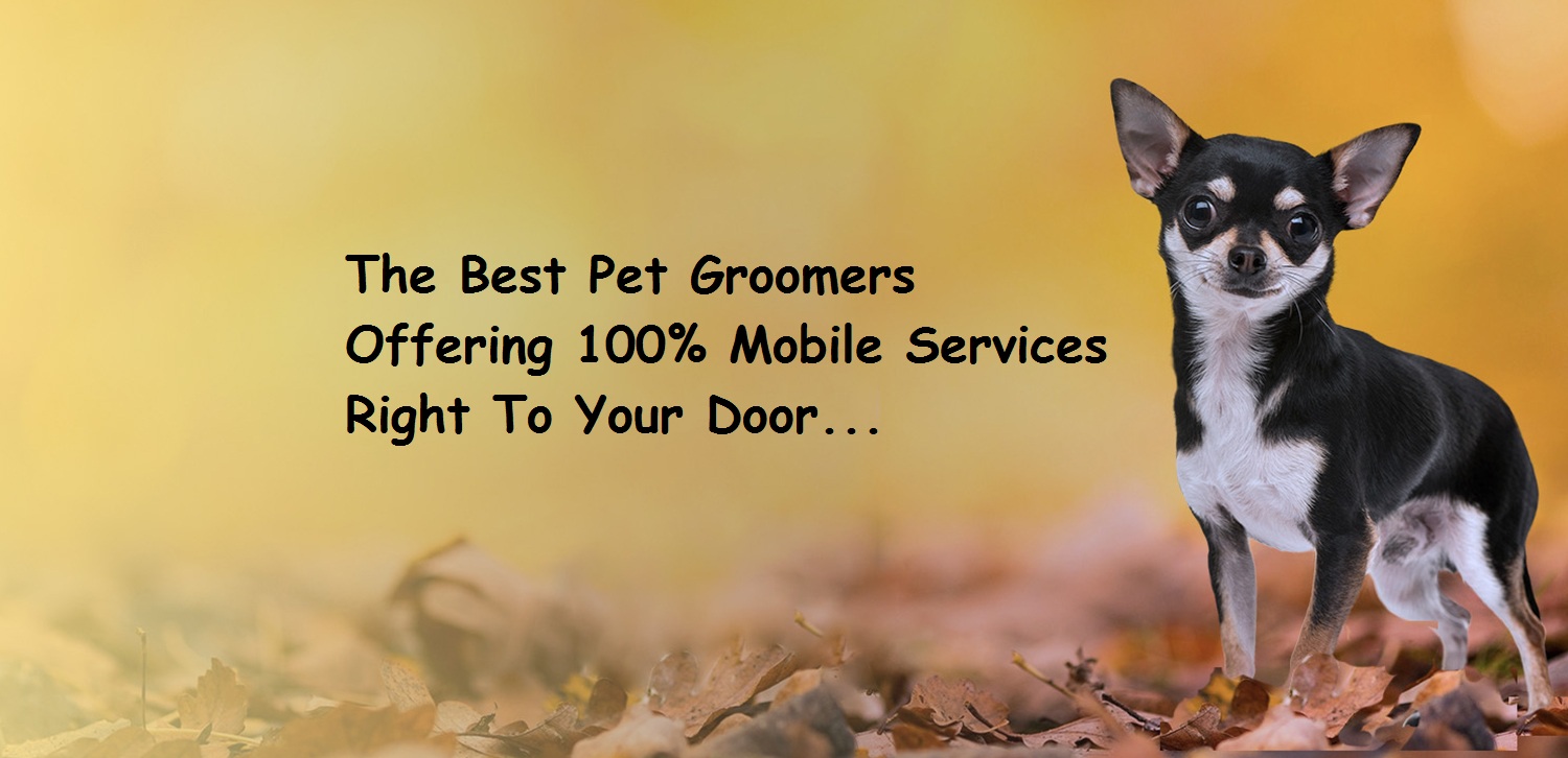 Mobile Pet Grooming Lafayette