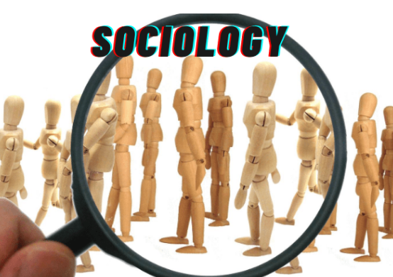 Sociology Homework | Affordable Online Class Help