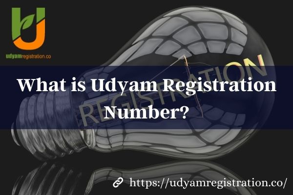 What is Udyam Registration Number?