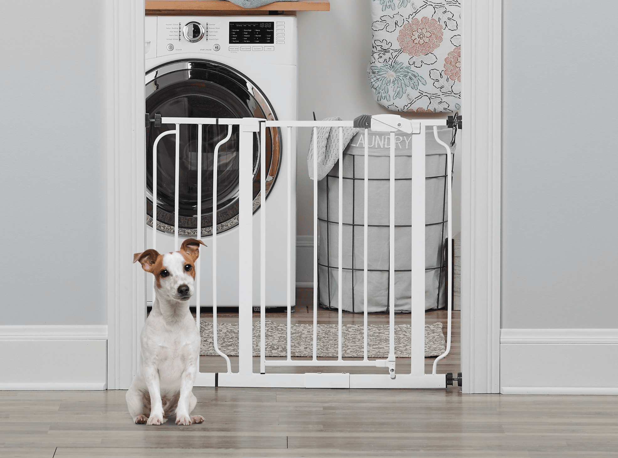 WHY SHOULD YOU GET DOORWAYS FOR DOGS?