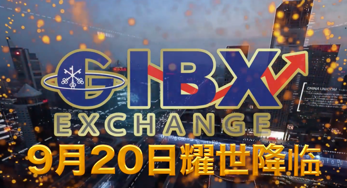 GIBXChange A Model For Success
