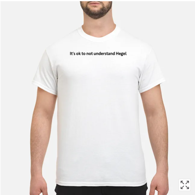It’s Ok to Not Understand Hegel T Shirt