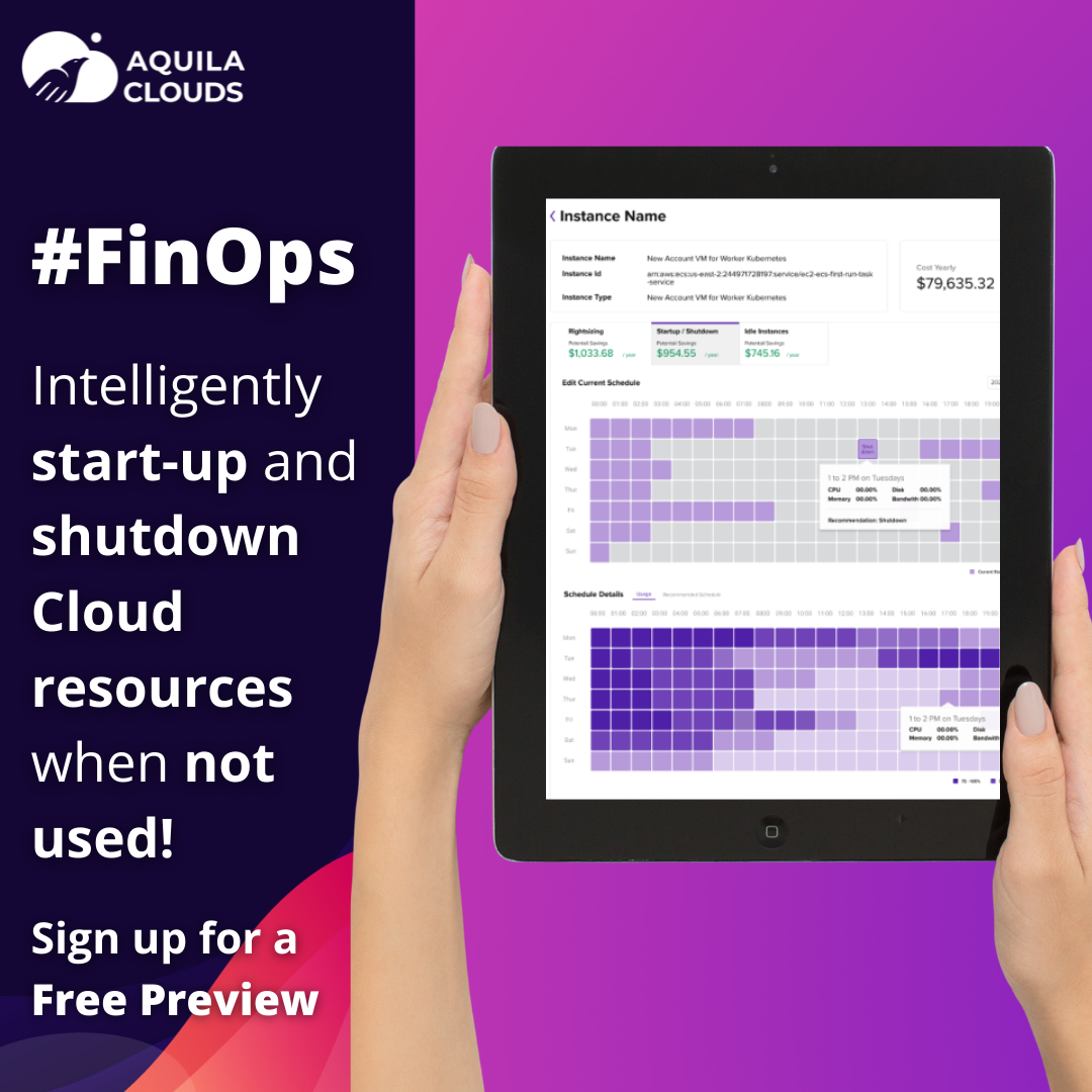 Cloud Cost Management and Optimization Guide for 2022