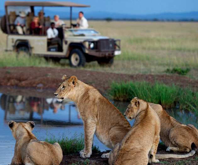Best Honeymoon Safaris Packages in Tanzania