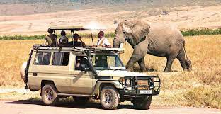 Wildebeest Migration Safaris Packages in Tanzania
