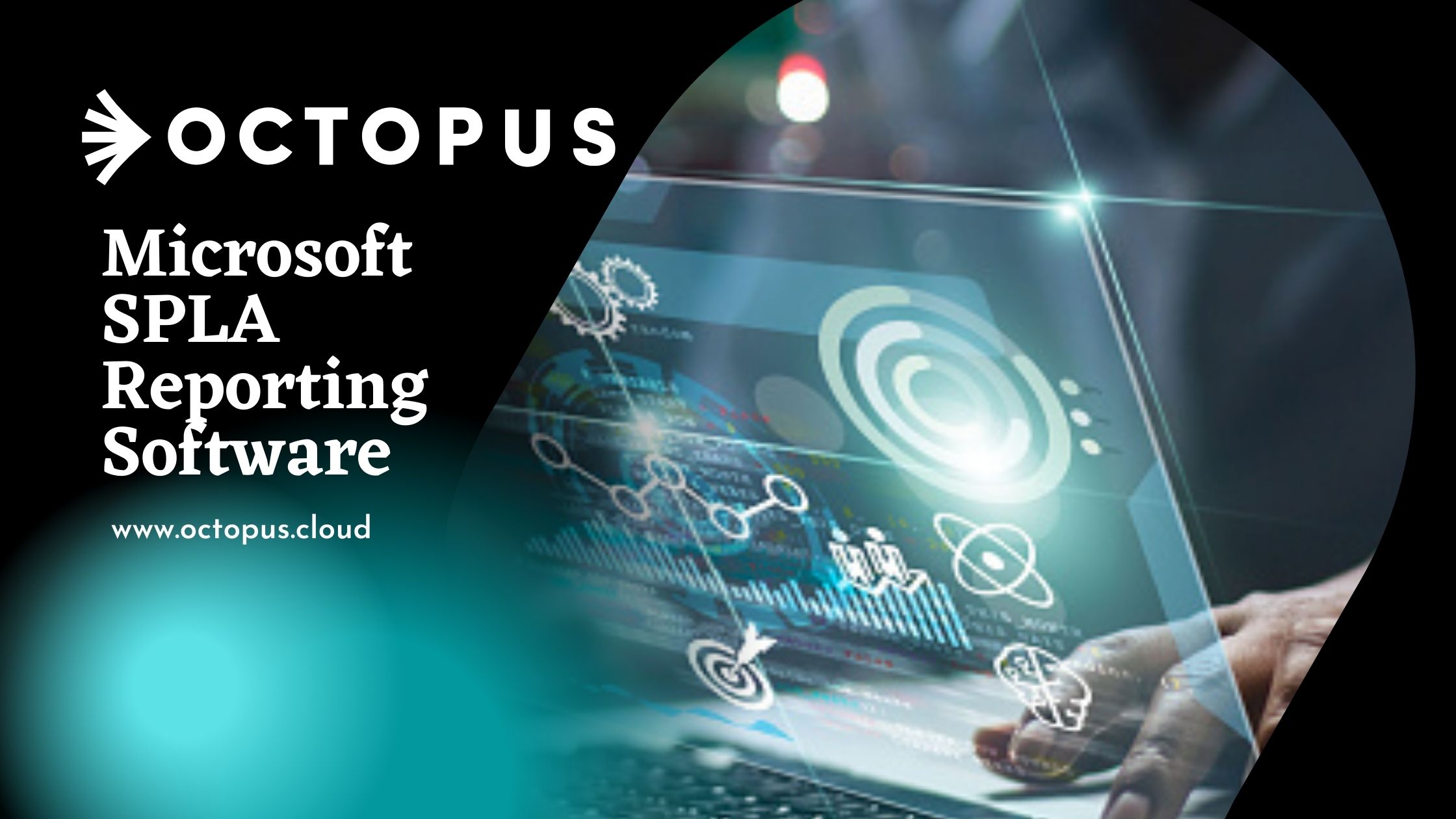 How do Microsoft SPLA Reporting Services work?