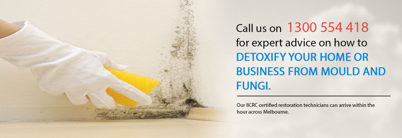 Water, Fire and Flood Damage Restoration Melbourne | Mould Removal