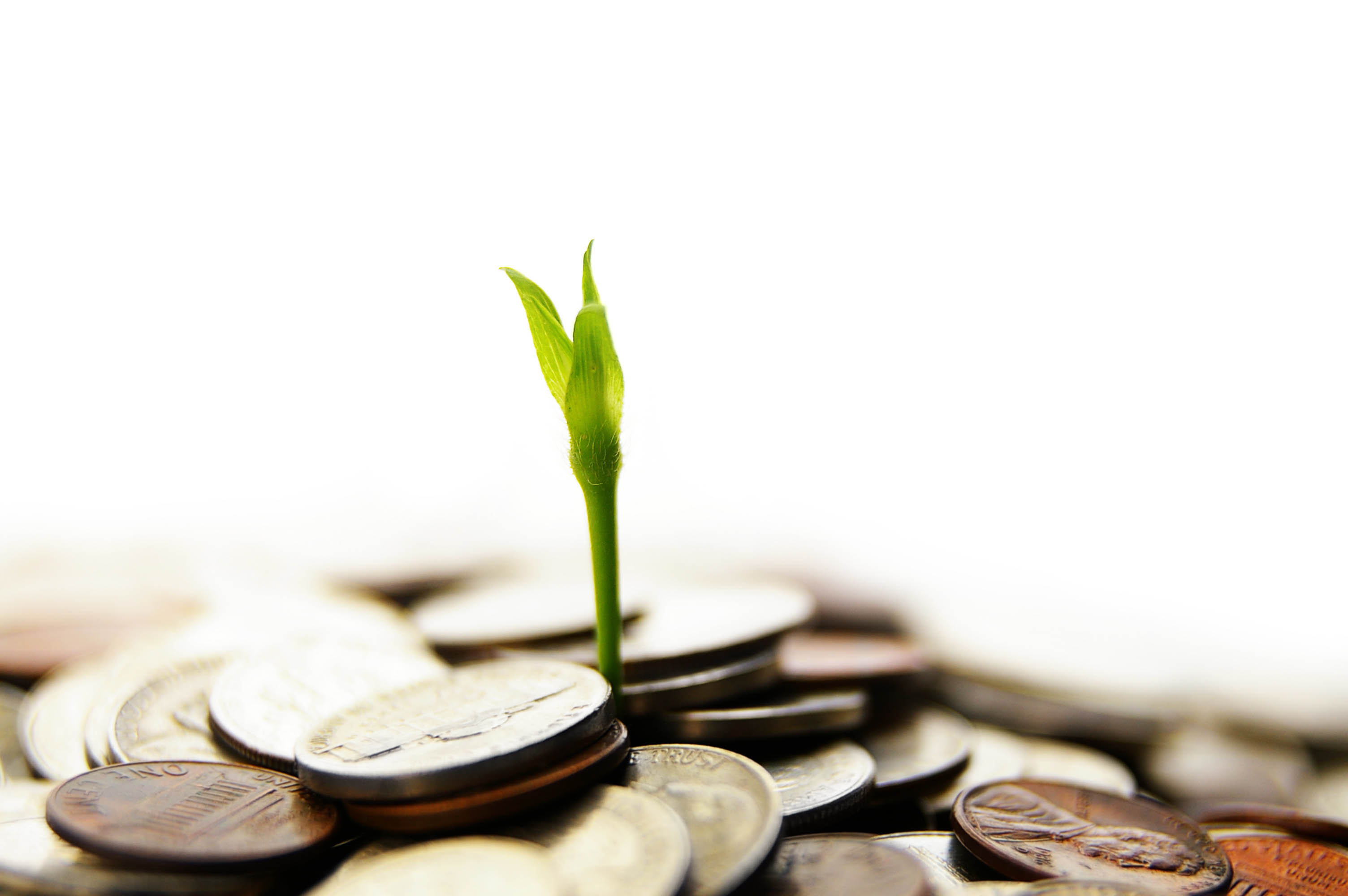 Quantedge Capital Pte