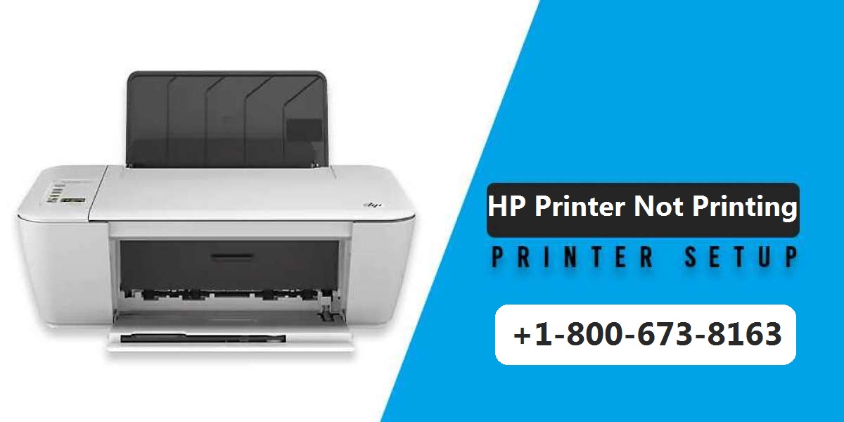 Why my HP Printer Not Printing Anything? Fix issue